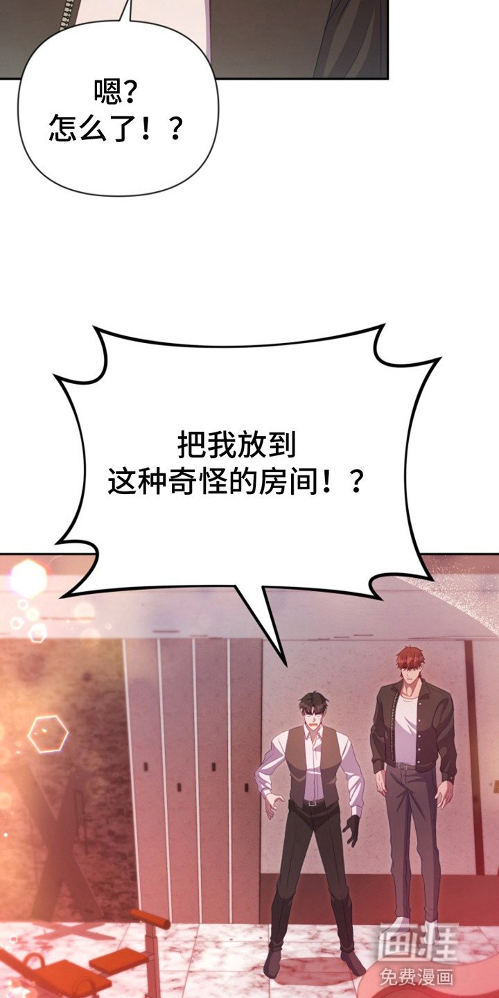 第8章：秘密任务