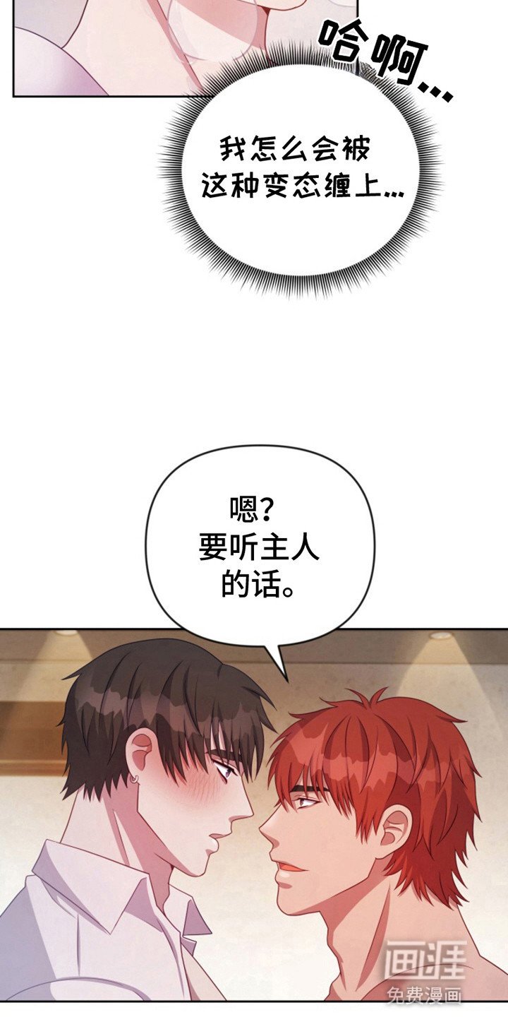 第9章：喜欢