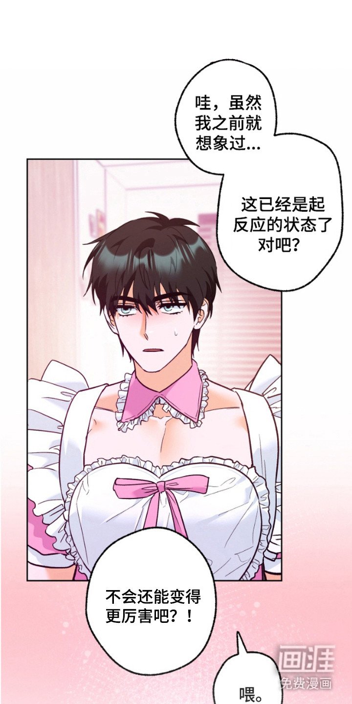 第13章：教学