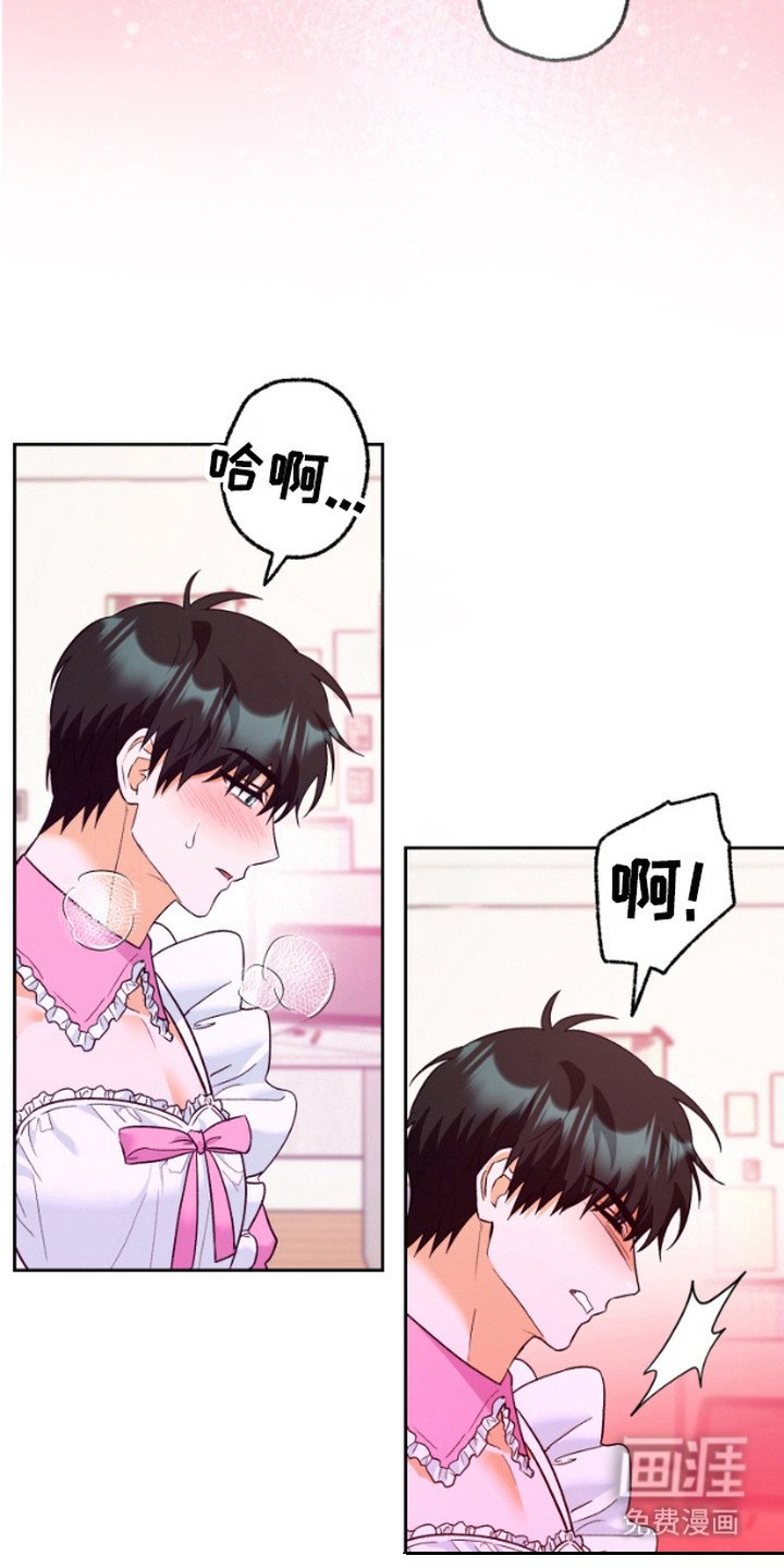 第13章：教学