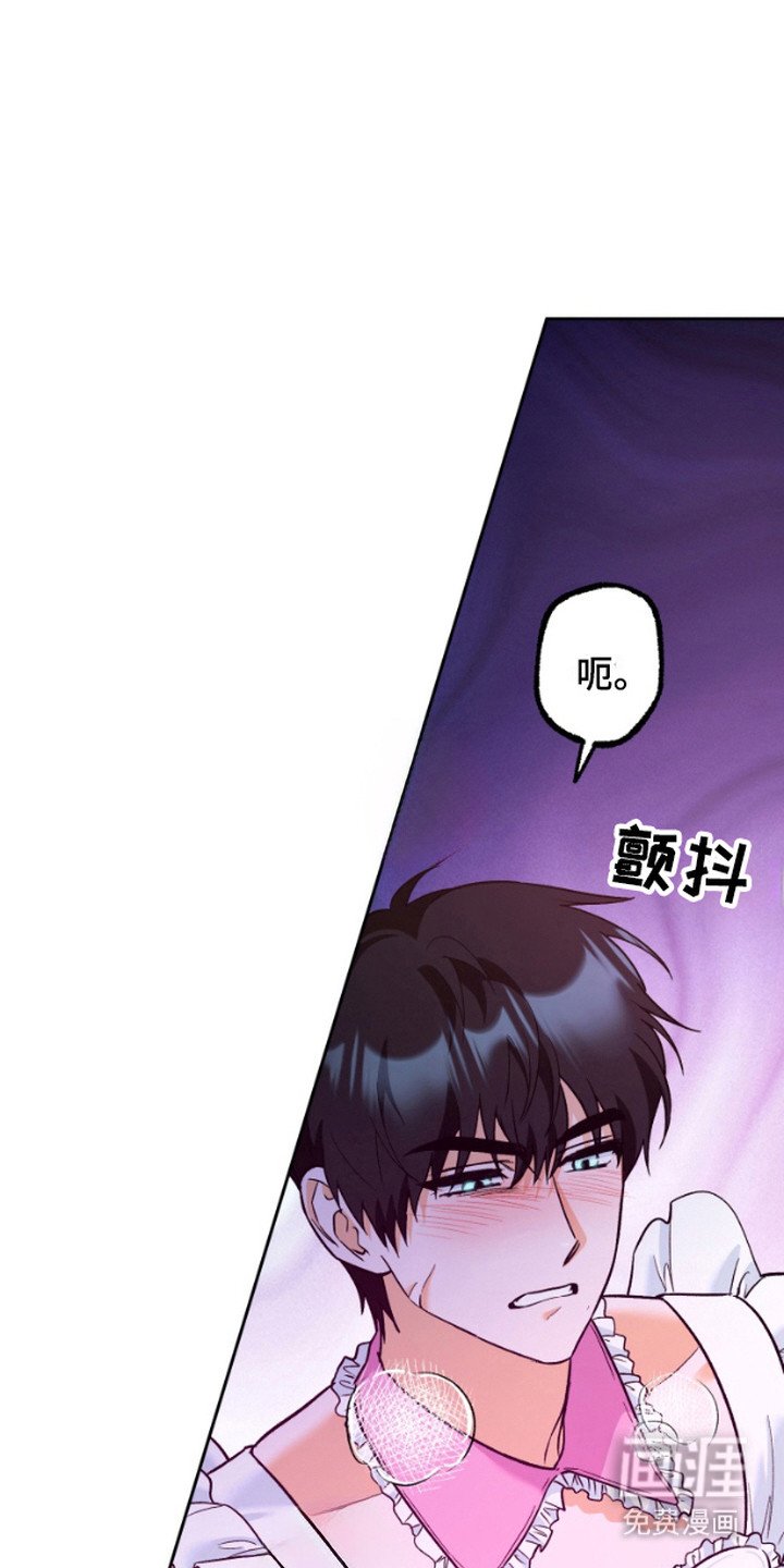 第13章：教学