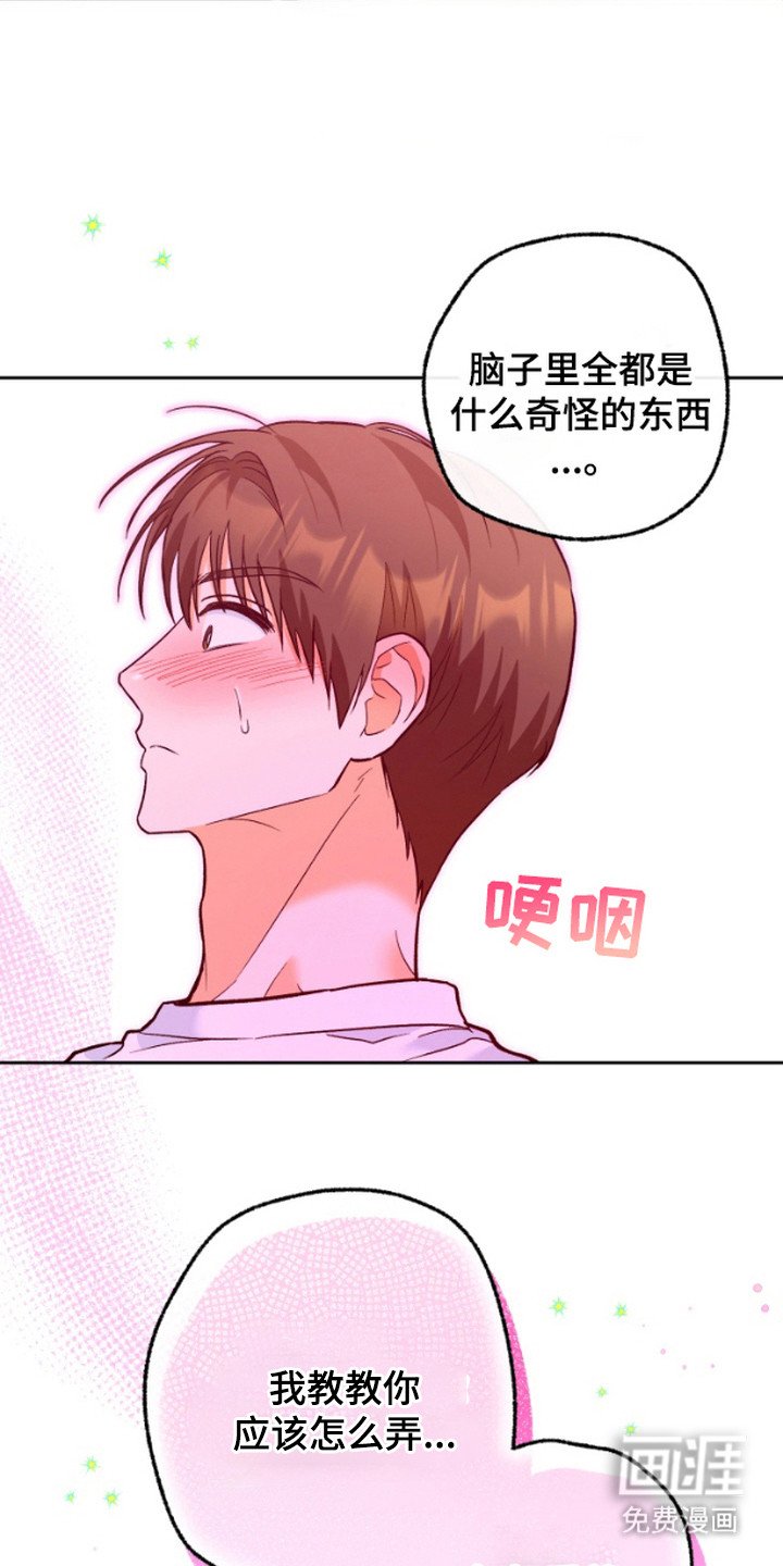 第13章：教学