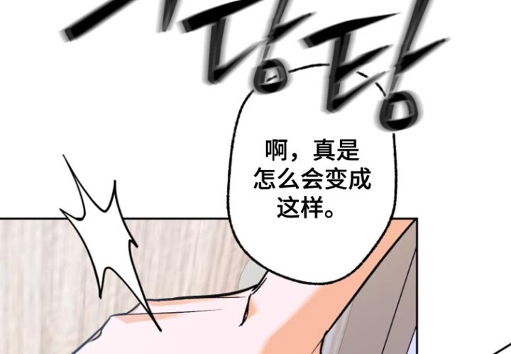 第19章：非法入侵