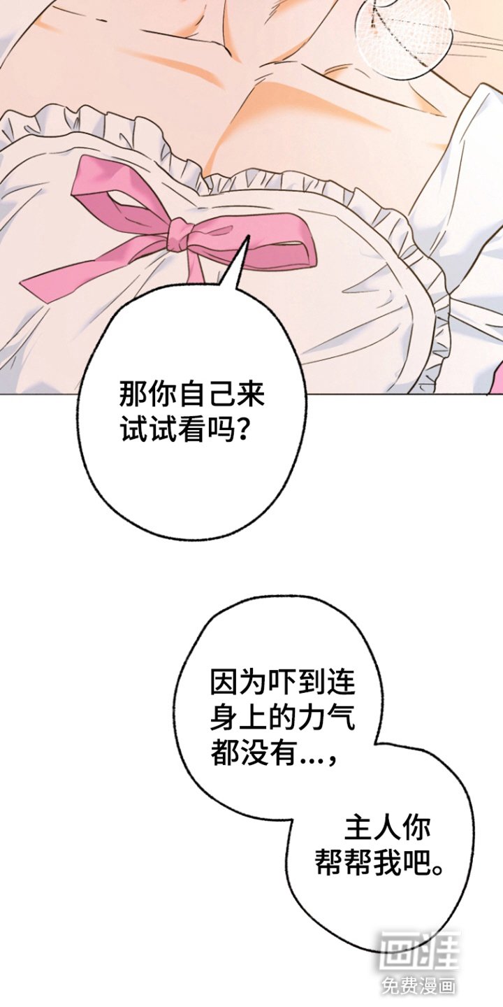第25章：做他想做的（完结）