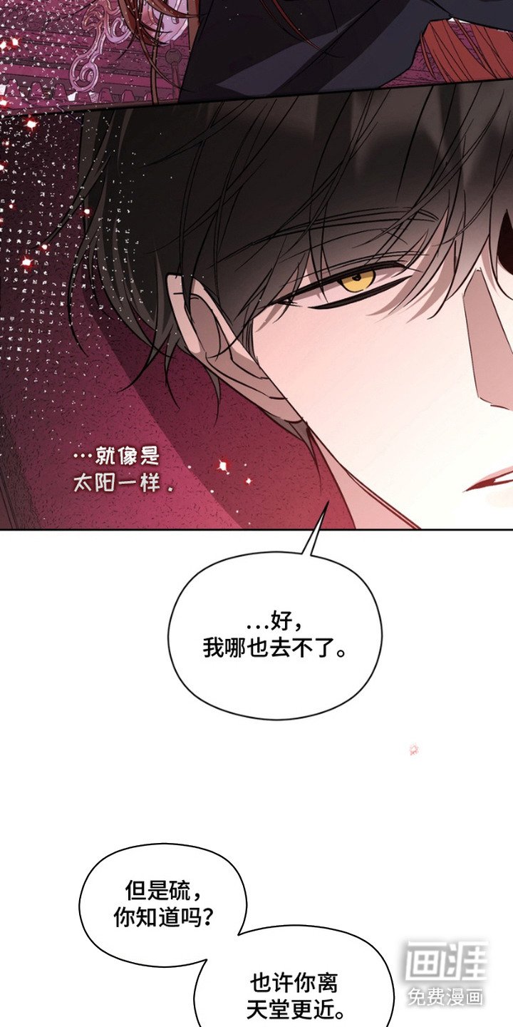 第14章：白夜（完结）