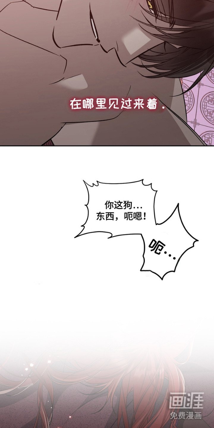 第14章：白夜（完结）