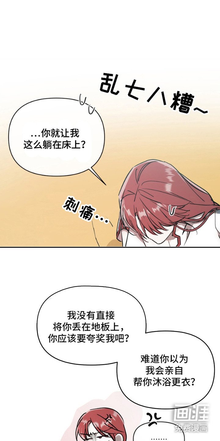 第4章：红芍酒