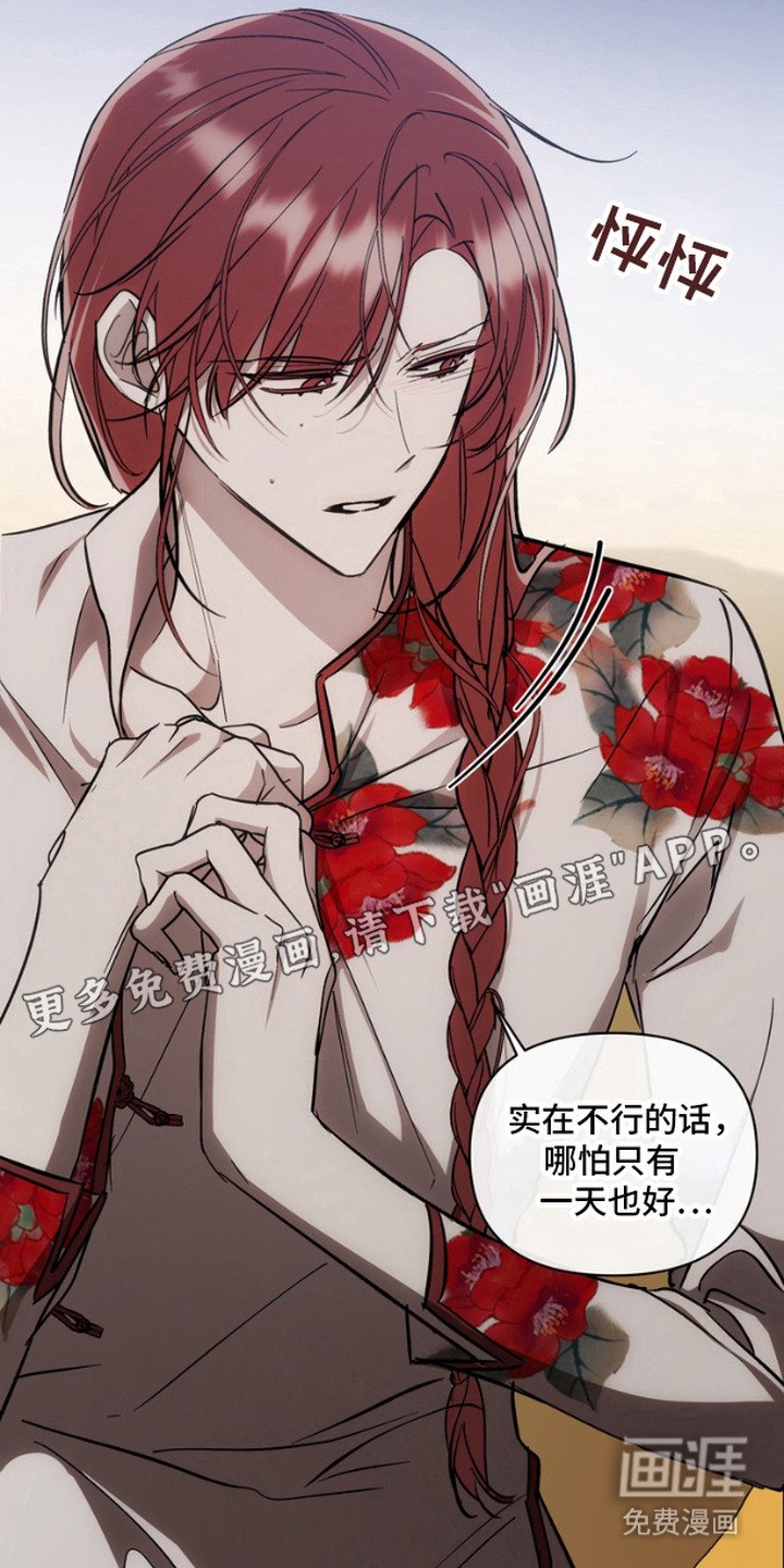 第4章：红芍酒