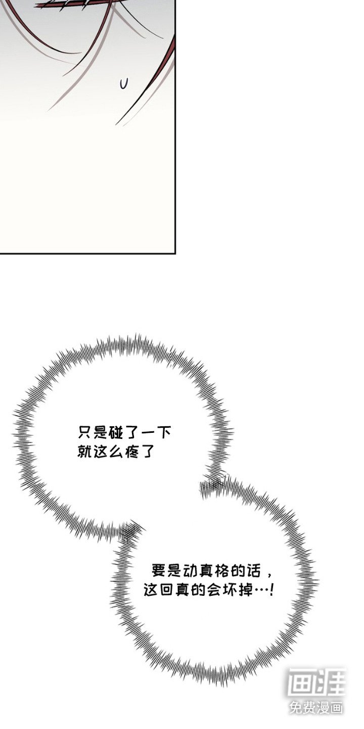 第4章：红芍酒