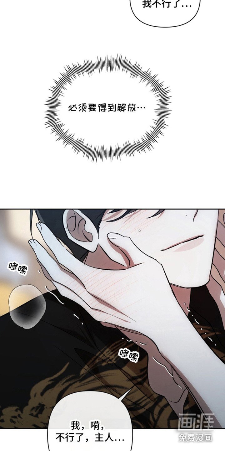 第6章：机会