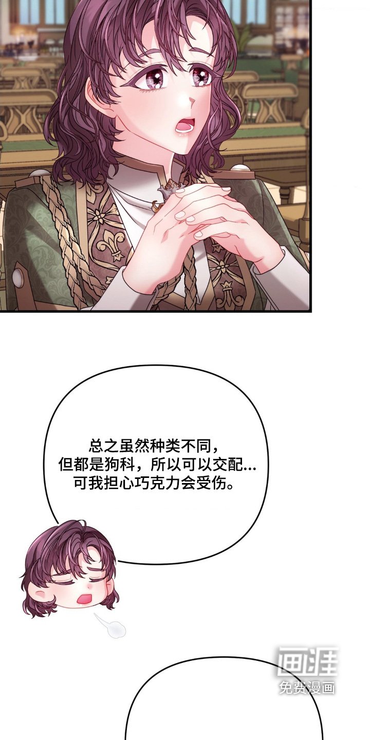 第22章：这样的想法