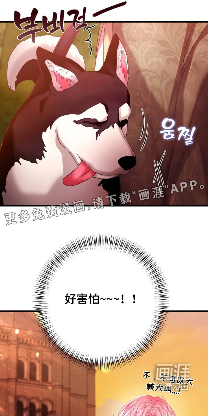 第29章：试试