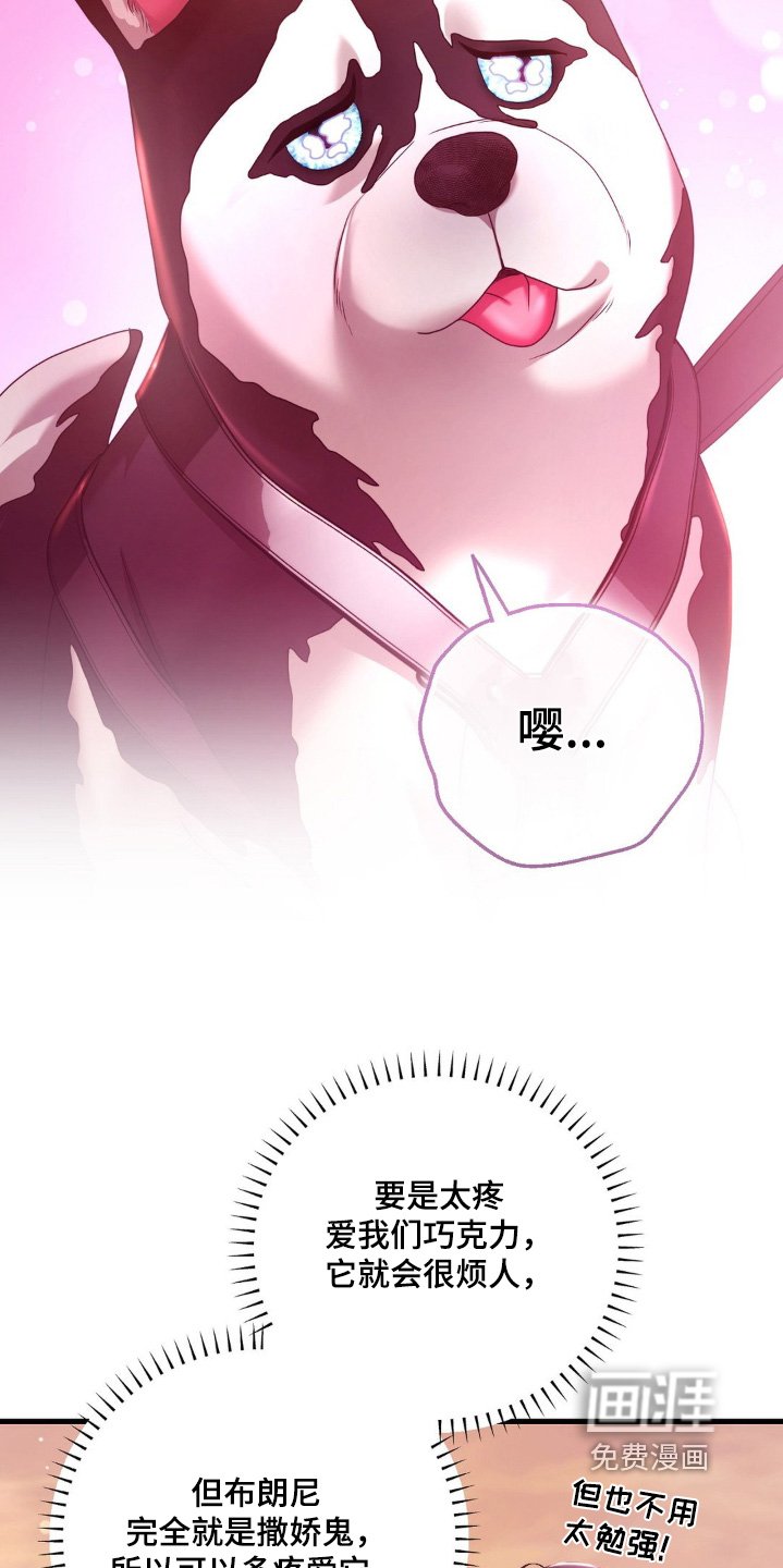 第29章：试试