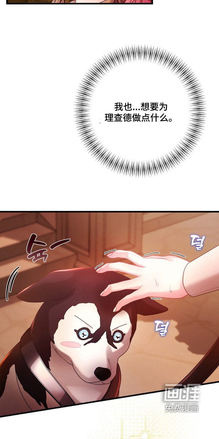 第29章：试试