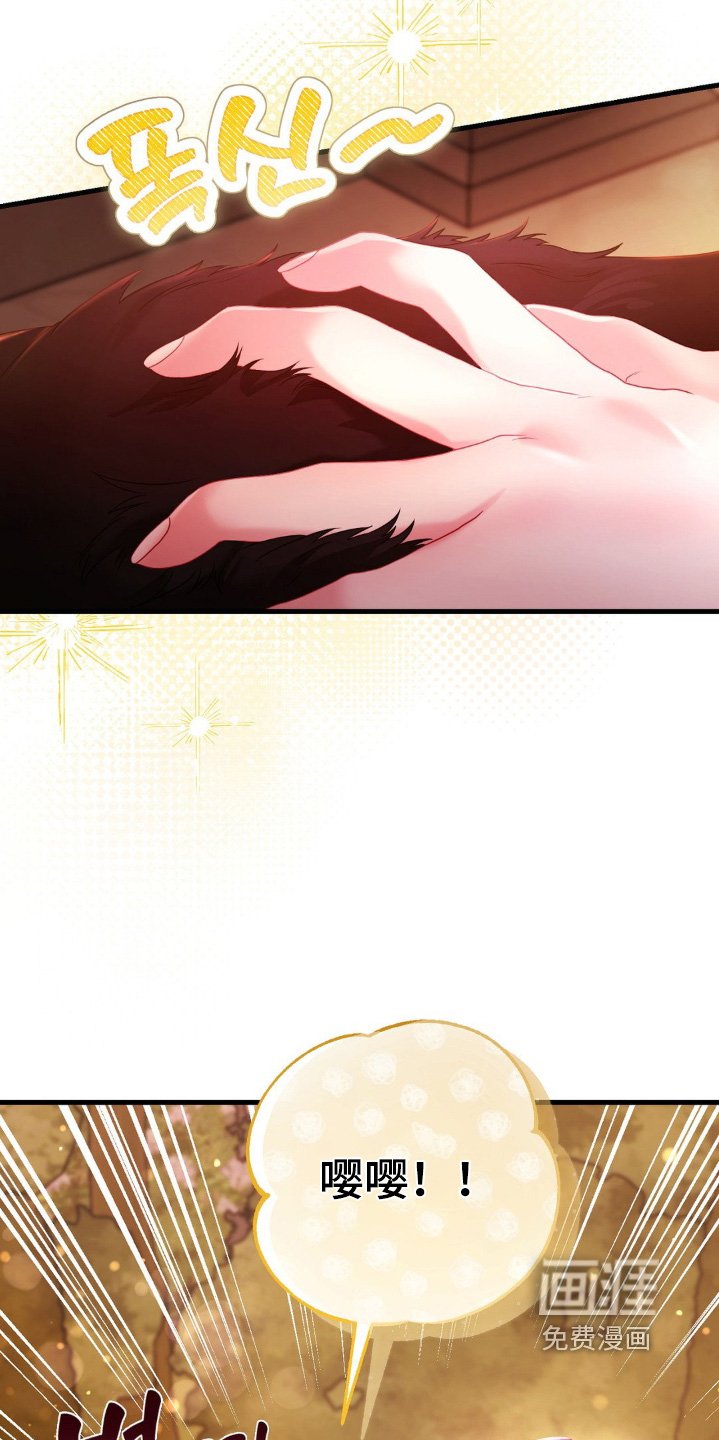 第29章：试试