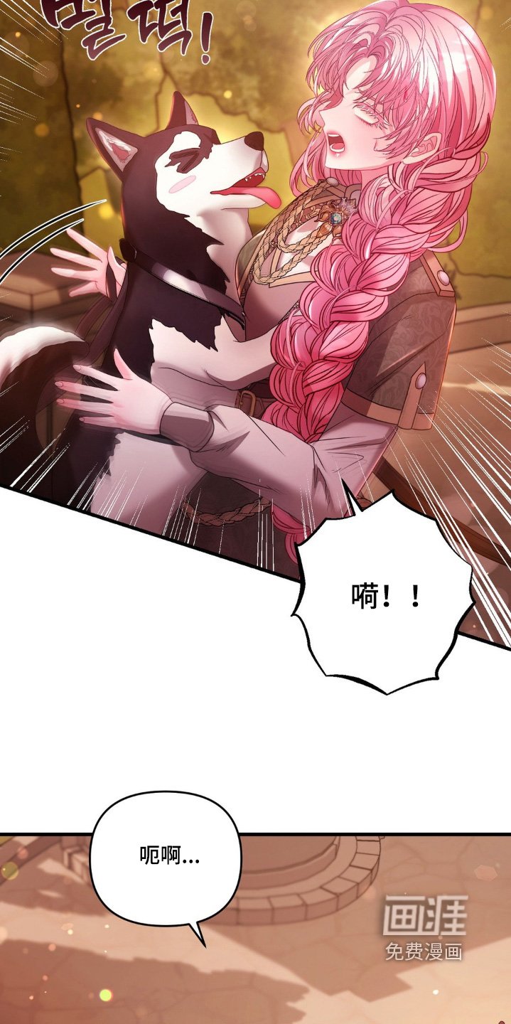 第29章：试试