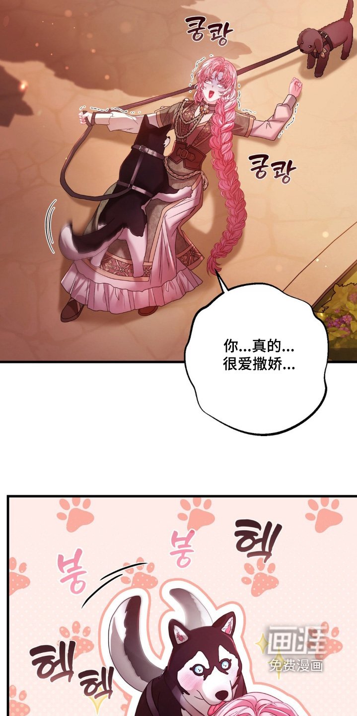第29章：试试