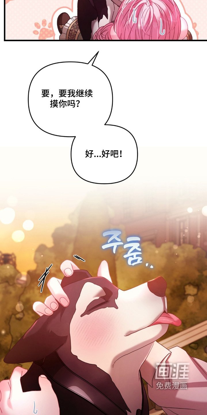 第29章：试试