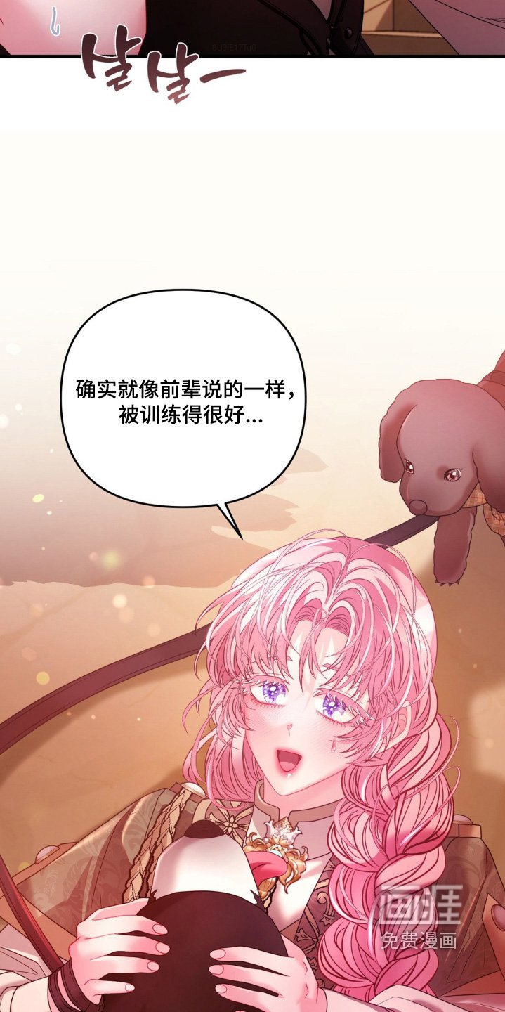 第29章：试试