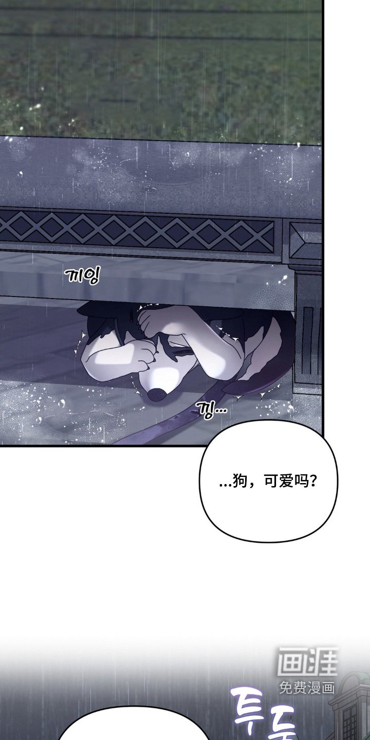 第39章：你要去哪里