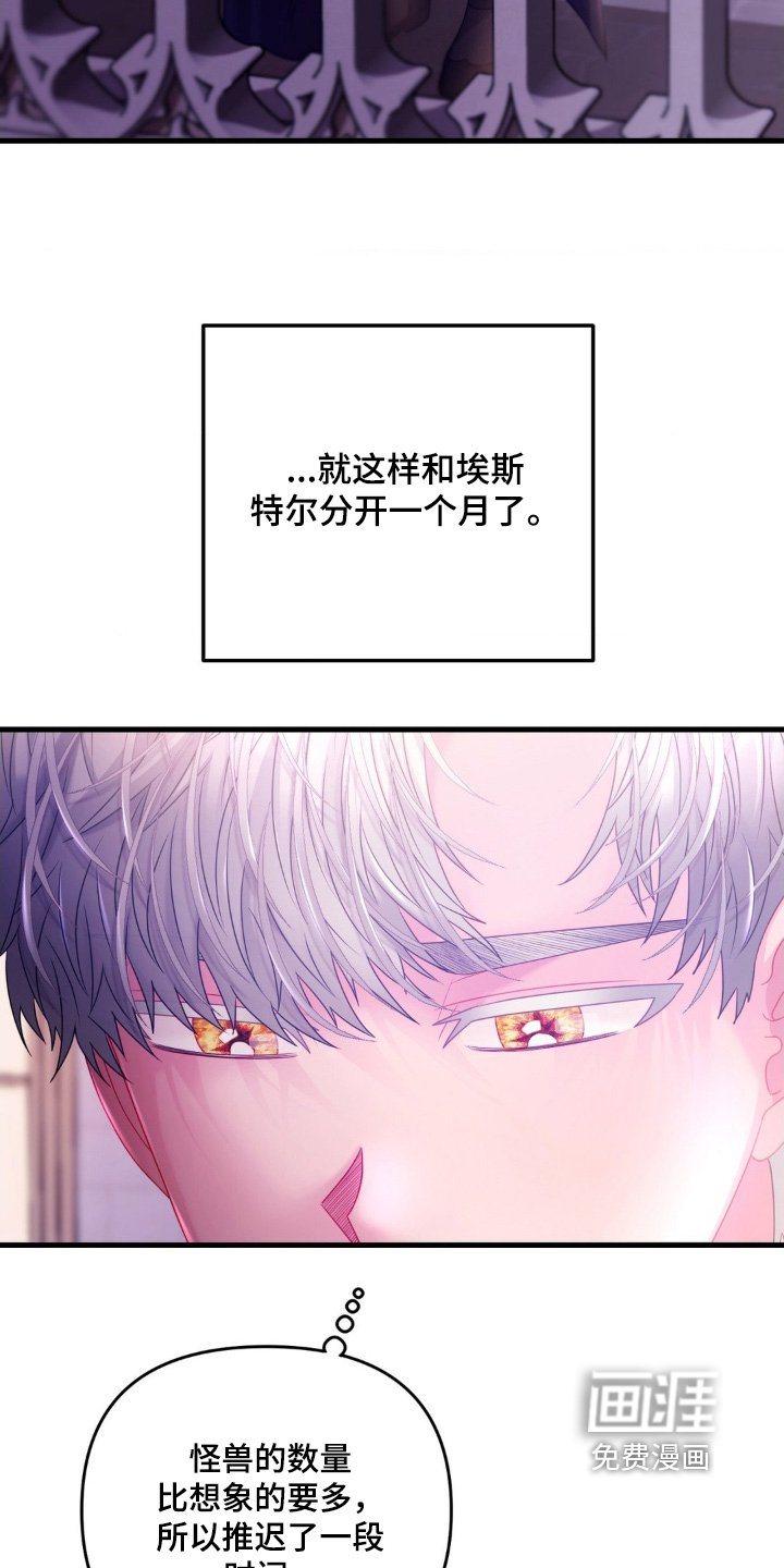 第48章：回来了