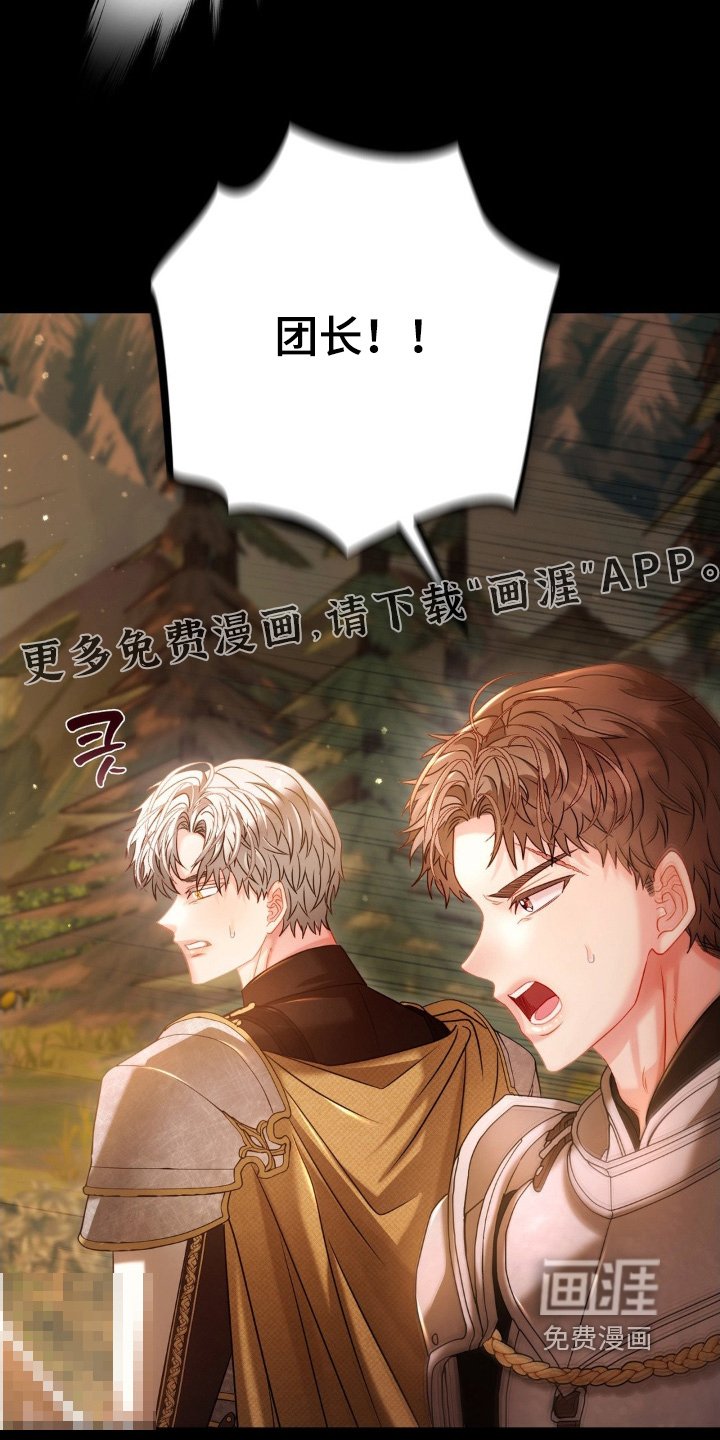 第48章：回来了