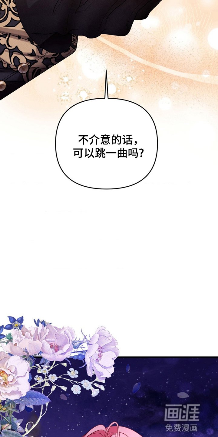 第5章：共舞