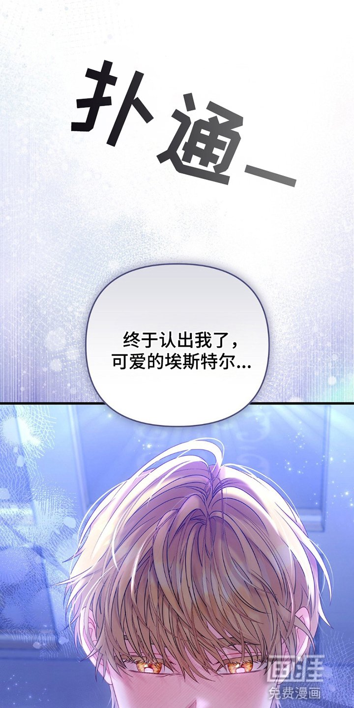 第5章：共舞