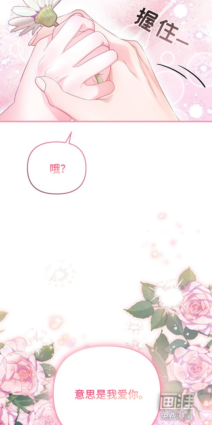 第6章：告白