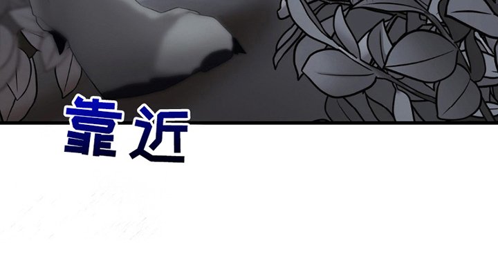 第6章：告白