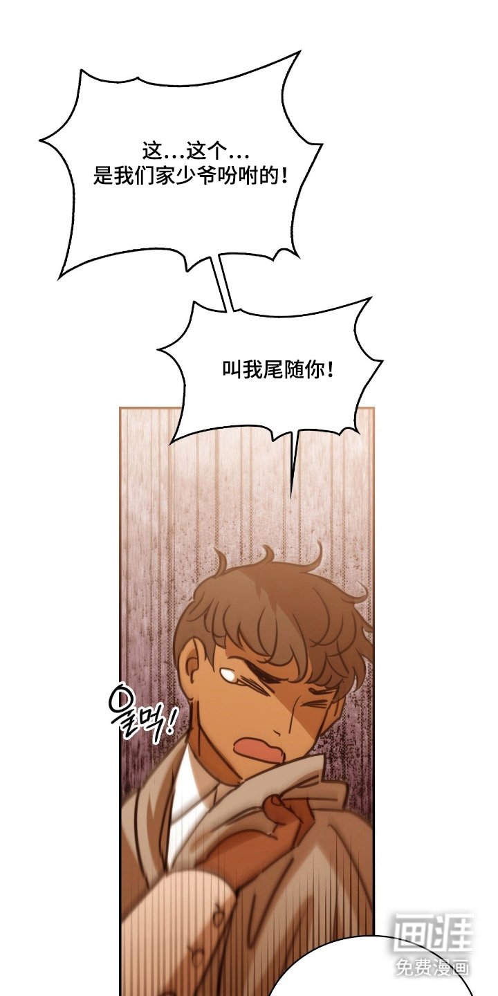 第13章：最高档货