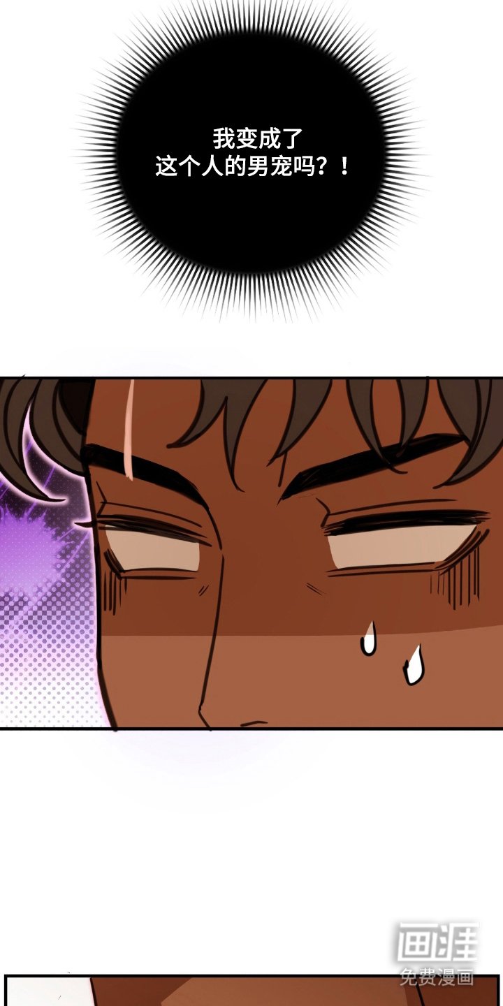 第17章：男宠