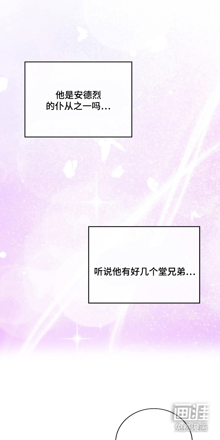 第19章：喜欢的类型