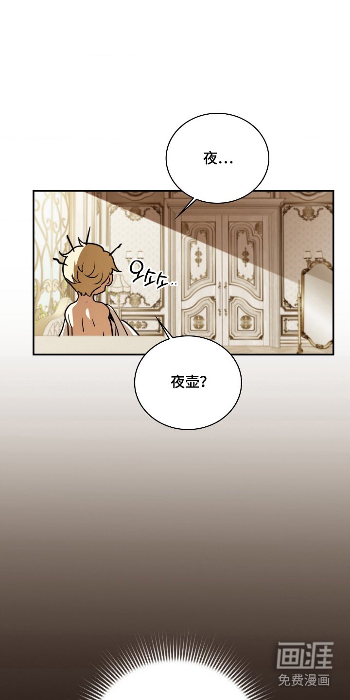 第20章：夜壶