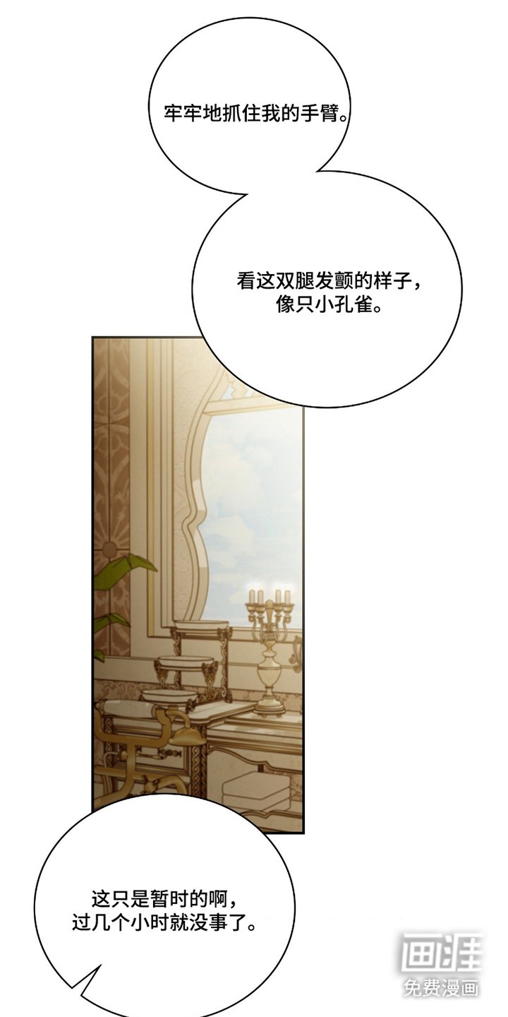 第6章：不记得