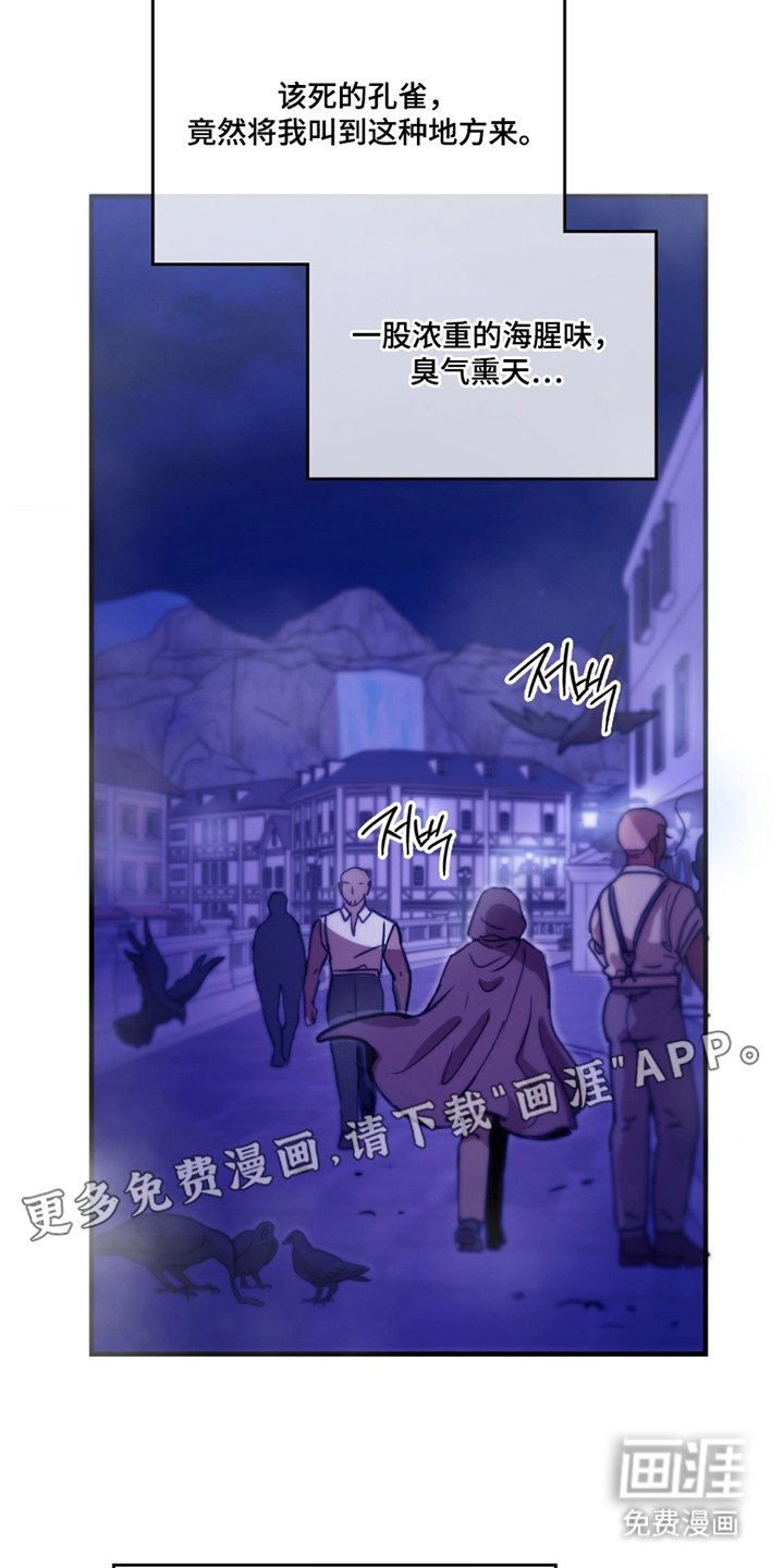 第8章：非法格斗