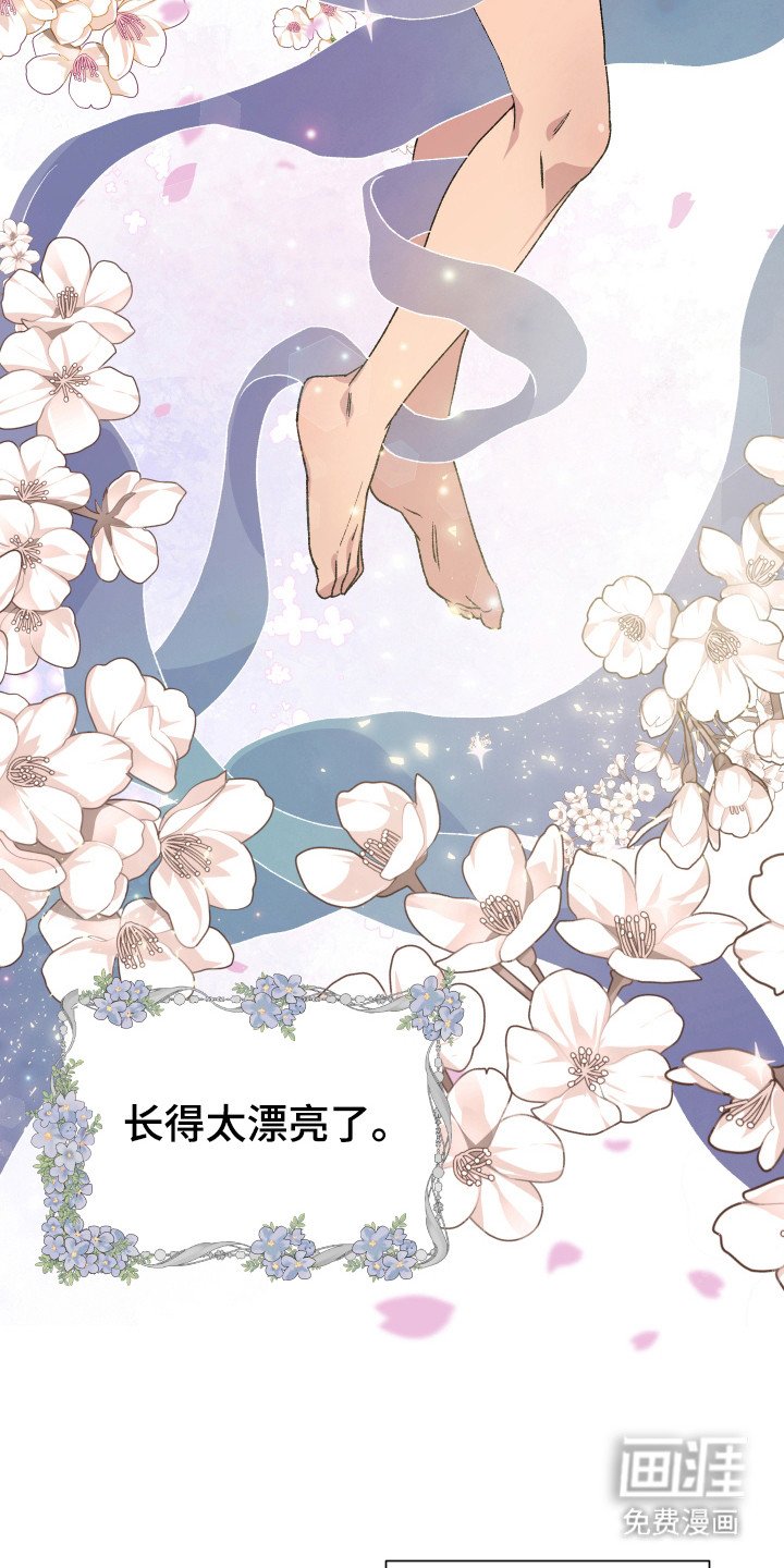 第1章：红颜薄命