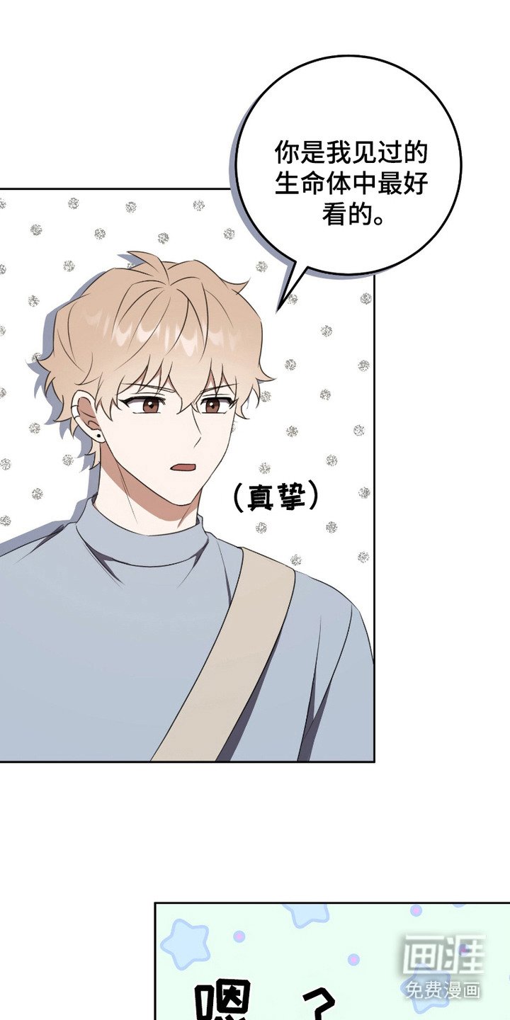 第12章：互相喜欢