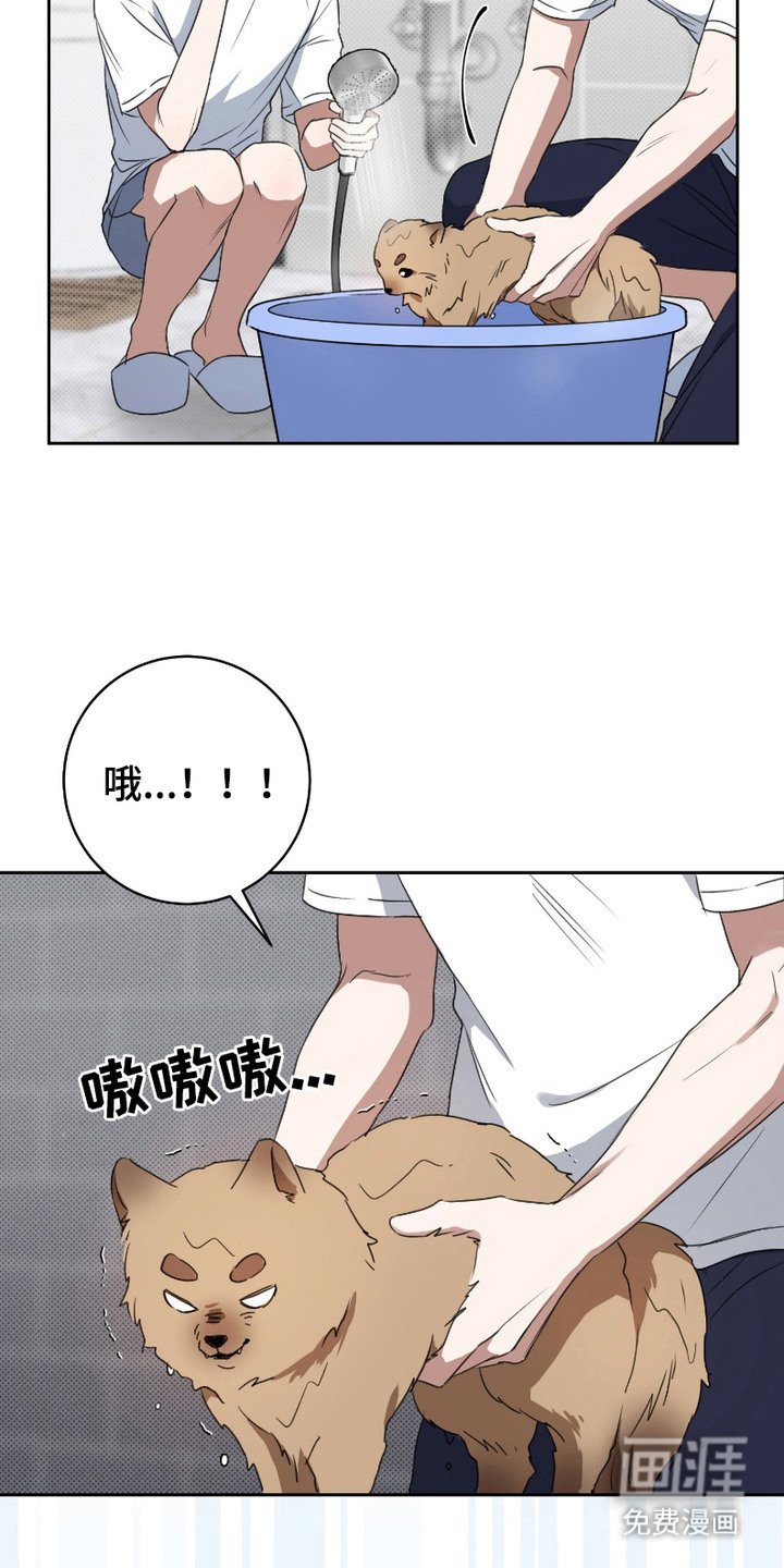 第4章：死缠烂打