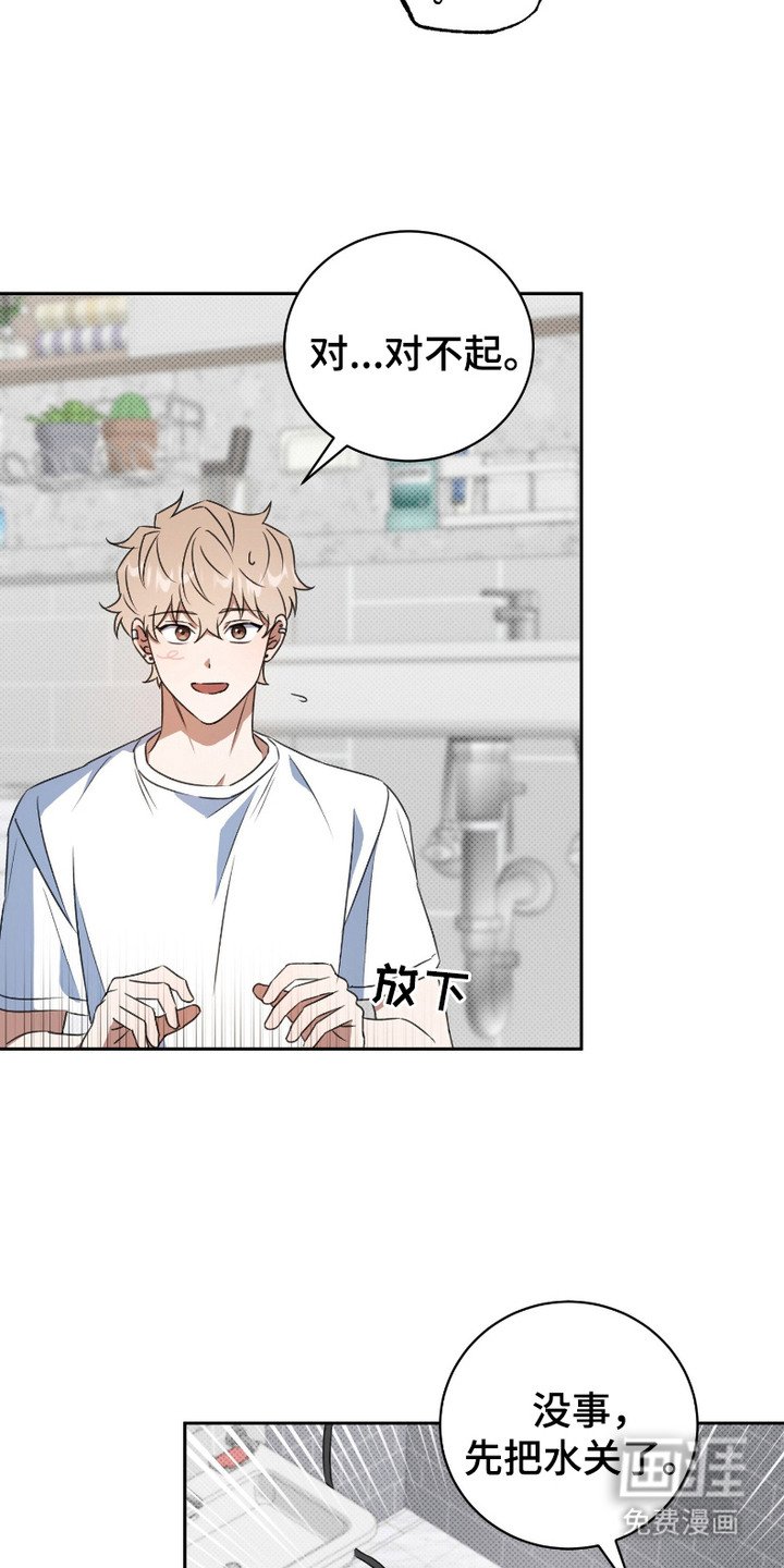 第5章：盯着看
