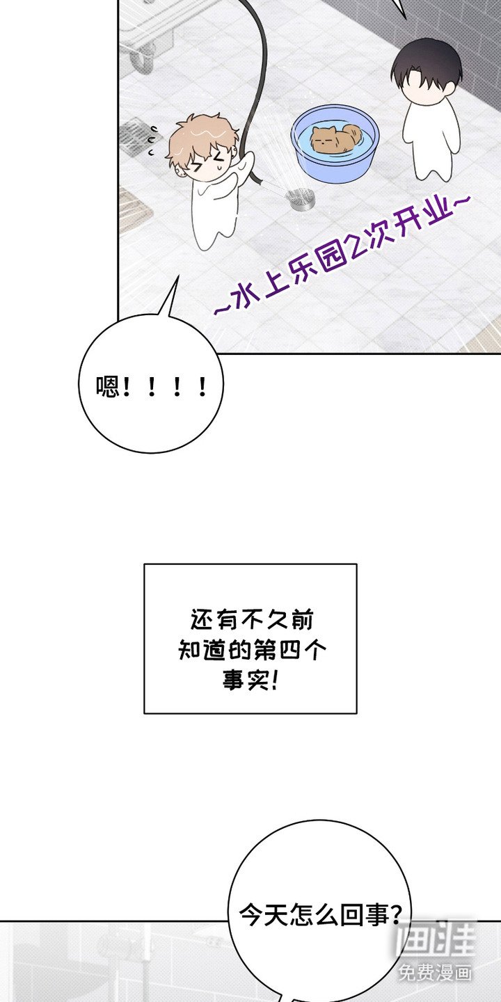 第5章：盯着看