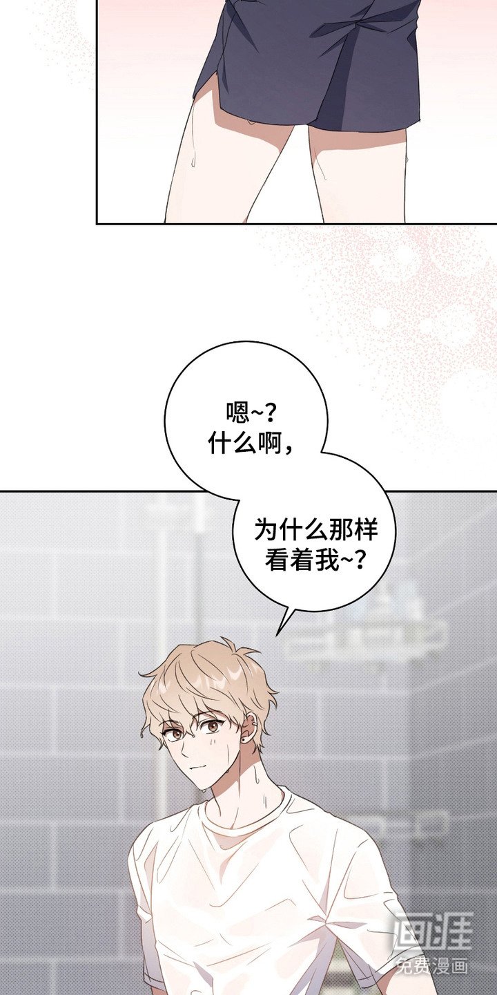 第5章：盯着看