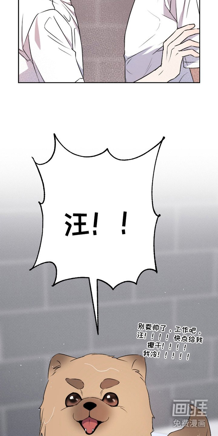 第5章：盯着看