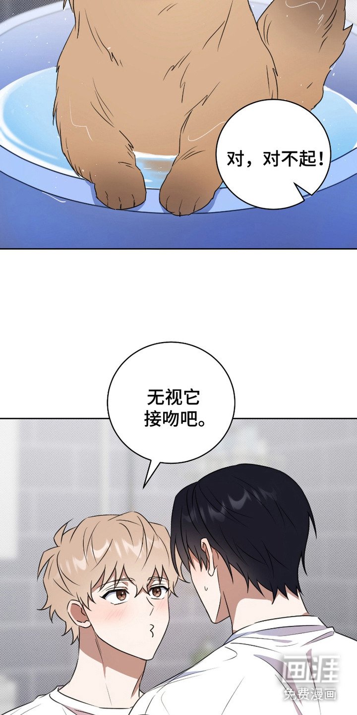 第5章：盯着看