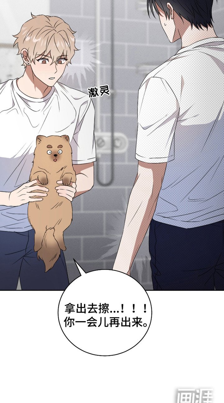 第5章：盯着看