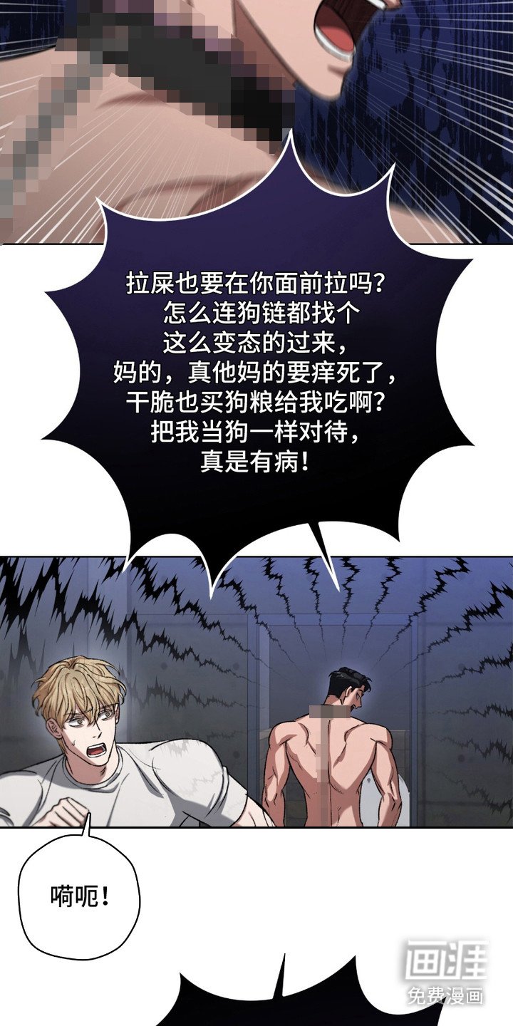 第12章：粪勇向前