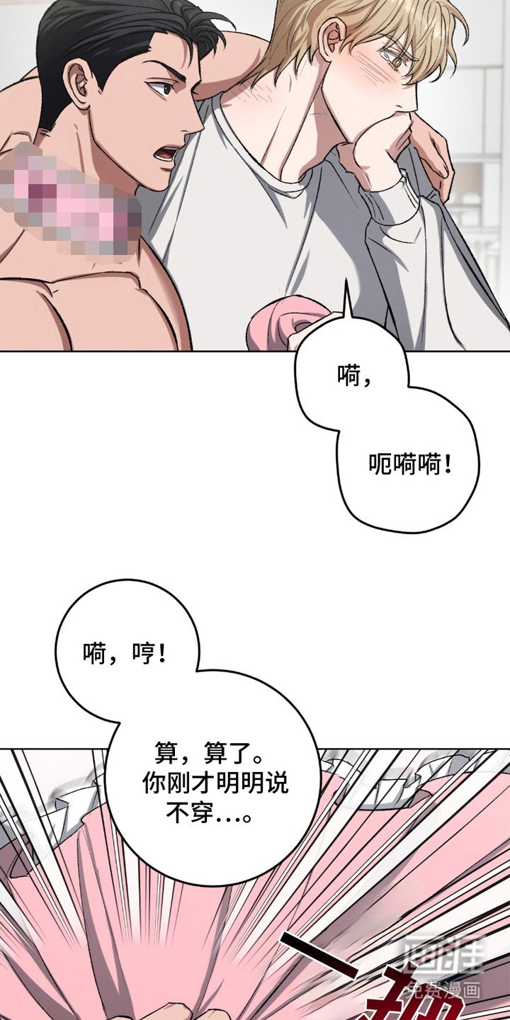 第18章：围裙