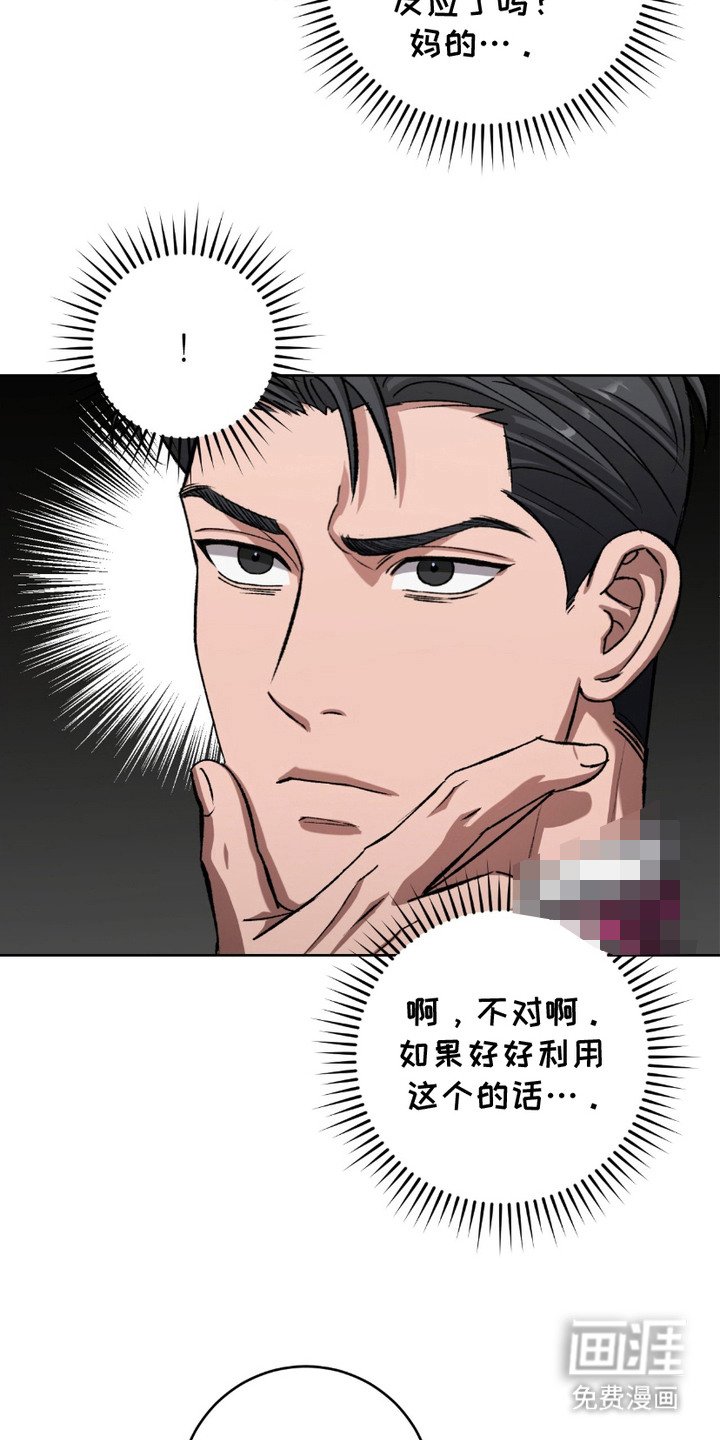 第18章：围裙