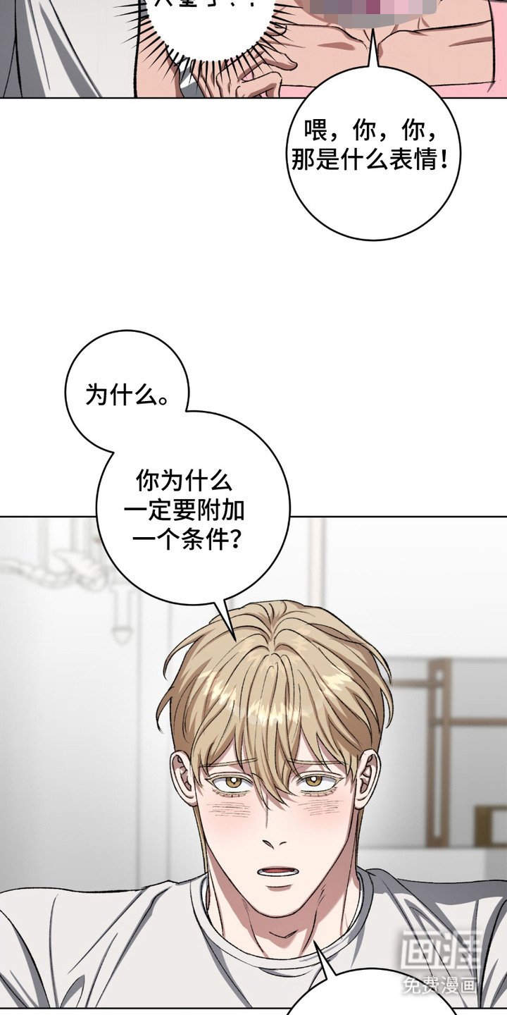 第18章：围裙