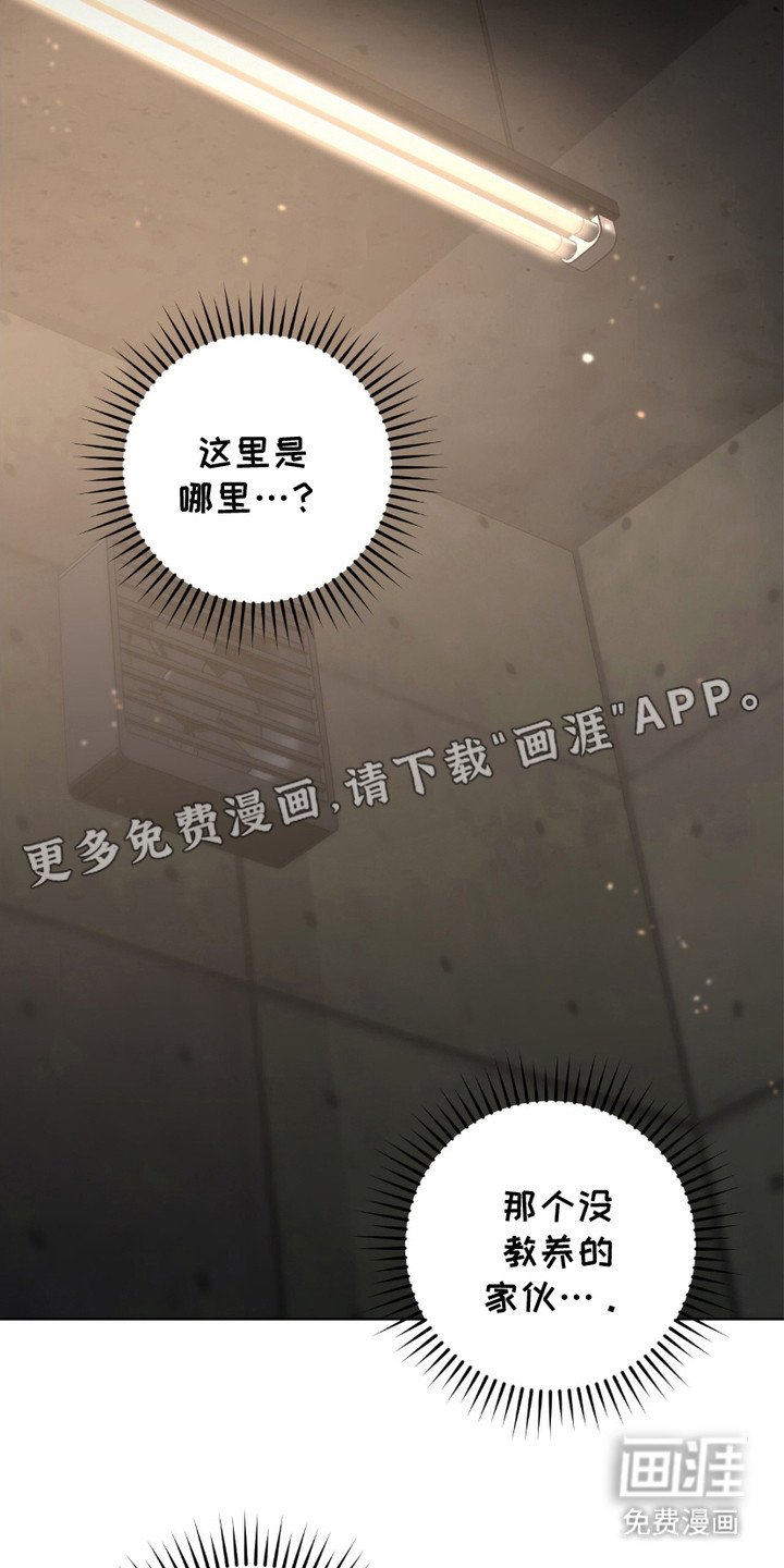 第3章：电击器